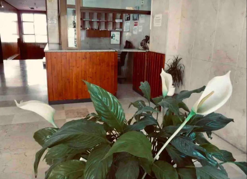 Ferienwohnung La Posada Del Viajero Torremolinos Exterior foto